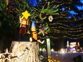 国営武蔵丘陵森林公園スターライトイルミネーションの写真４