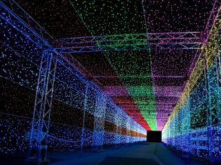 東武動物公園 ウインターイルミネーション写真２