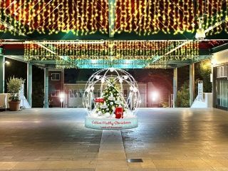 Colton Fluffy Christmas写真２