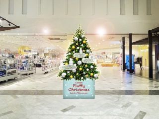 Colton Fluffy Christmasの写真３