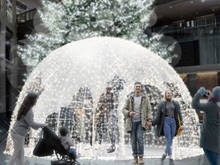 WHITE KITTEの写真３