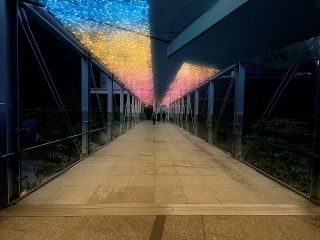 Solacity Winter Illuminations写真１