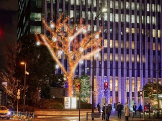 Solacity Winter Illuminations写真２
