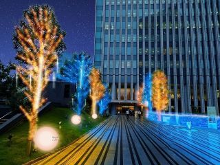 Solacity Winter Illuminationsの写真３
