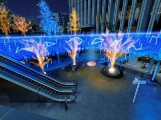 Solacity Winter Illuminationsの写真４