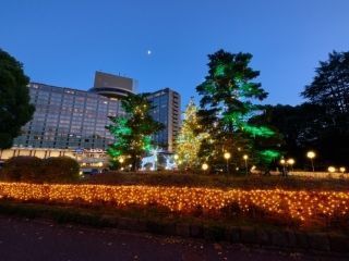 ホテルニューオータニ ウィンターイルミネーション写真１