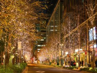 丸の内イルミネーションの写真３