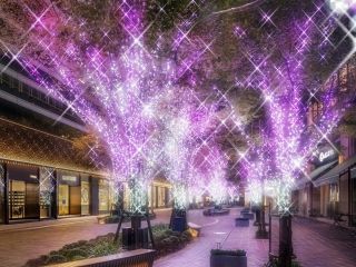HIBIYA Magic Time Illumination写真２