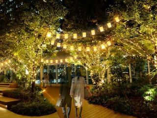 MIDTOWN YAESU CHRISTMASの写真３