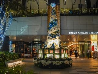 東京スクエアガーデン ウインターイルミネーション写真２