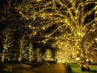 MIDTOWN CHRISTMAS写真２