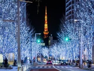 Roppongi Hills Christmas写真１