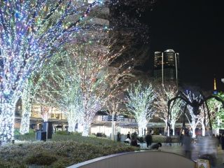 Roppongi Hills Christmas写真２