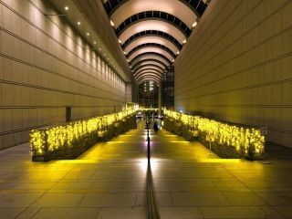 Tokyo Opera City Illumination写真２