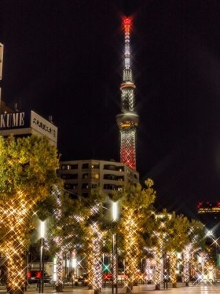 olinas イルミネーション写真２