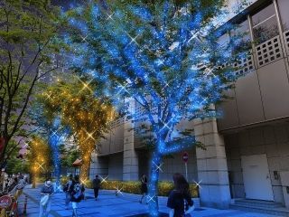 アルカタワーズ錦糸町 イルミネーションの写真３