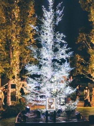 有明ガーデン シーズンイルミネーション写真２