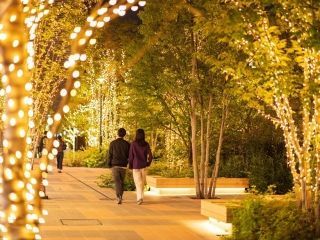 有明ガーデン シーズンイルミネーションの写真３