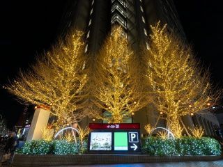 東京イースト21「ウィンターイルミネーション」写真1