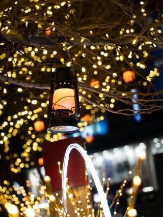 東京イースト21「ウィンターイルミネーション」の写真3