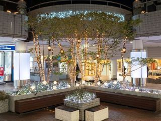 東京イースト21「ウィンターイルミネーション」の写真4