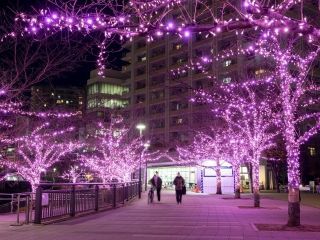 目黒川みんなのイルミネーション写真２