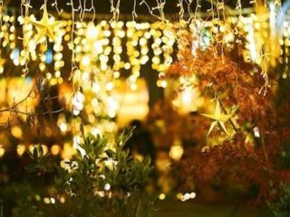 OMOHARA Christmas illumination写真２