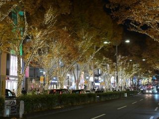 表参道 フェンディ イルミネーション写真２