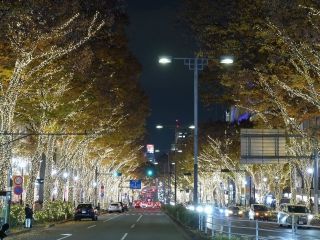 表参道 フェンディ イルミネーションの写真３