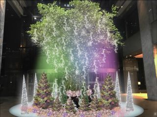 新宿ミナミルミ写真２