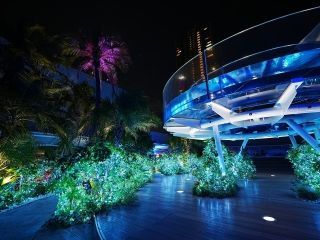 サンシャイン水族館 マリンガーデンイルミネーション写真2