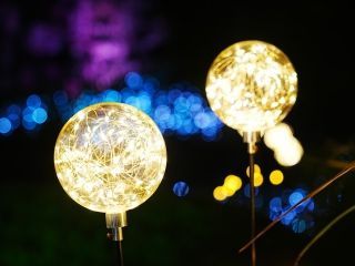 サンシャイン水族館 マリンガーデンイルミネーションの写真4