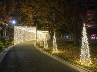 光の祭典の写真3