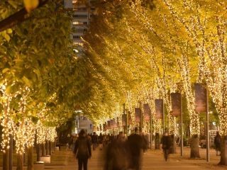 たちかわイルミネーション写真１