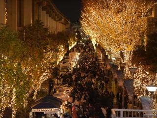 たちかわイルミネーションの写真３