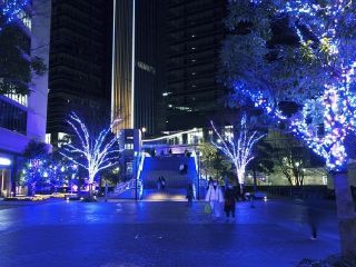 ヨコハマミライト写真１