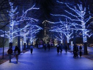 ヨコハマミライト写真２