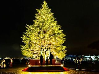 Christmas Market in 横浜赤レンガ倉庫写真１