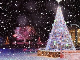 国営越後丘陵公園 Xmas イルミネーション写真１