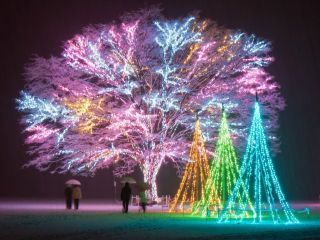 国営越後丘陵公園 Xmas イルミネーション写真２