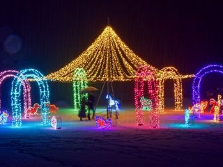国営越後丘陵公園 Xmas イルミネーションの写真３