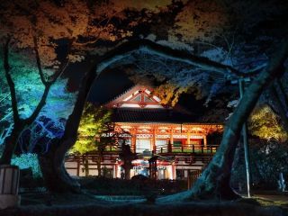 NAKED夜さんぽ 石川・那谷寺写真2