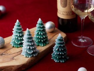 リゾナーレ八ヶ岳「ワインリゾートクリスマス」の写真3