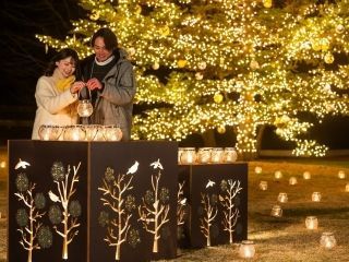 軽井沢星野エリアのクリスマスの写真4