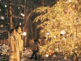 軽井沢高原教会 星降る森のクリスマスの写真４