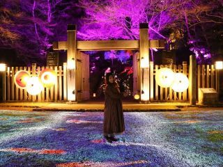 ぎふ灯り物語写真2