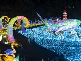 伊豆高原グランイルミ写真１