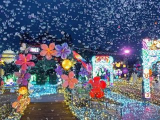 伊豆高原グランイルミ写真２