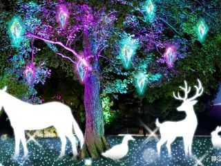 つま恋イルミネーション写真２