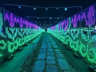 つま恋イルミネーションの写真３